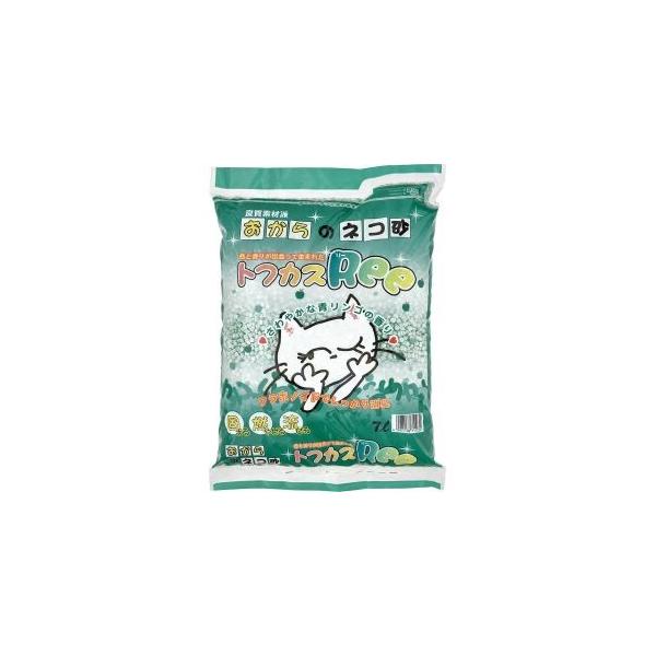 yOebN ̔L gtJXRee 7L