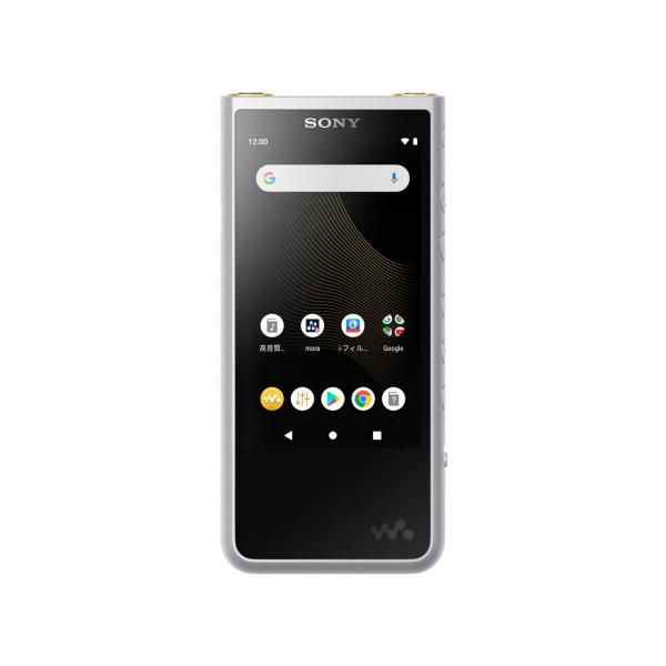 WALKMAN デジタルオーディオプレーヤー walkman(64GB) NW-ZX507