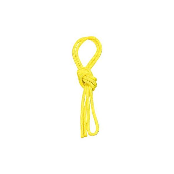 検定外、ジュニア用手具。柔らかでしなやか。ジュニアが扱いやすいロープです。[商品詳細]●サイズ：長さ２．５ｍ●素材：ポリエステル[納期について]出荷までに３〜５営業日（土・日・祝日を除く）頂戴しております。