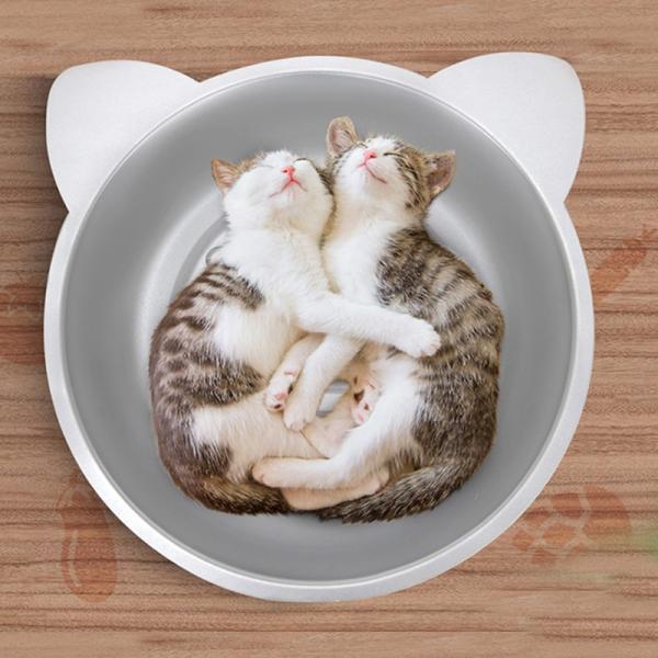ひんやりクール猫鍋 猫用 クールキャット 猫たらい ひんやりクール猫鍋 アルミ鍋 暑さ対策 ひんやり 冷え冷え 38 38 7 8cm Rainbowbookclub Org