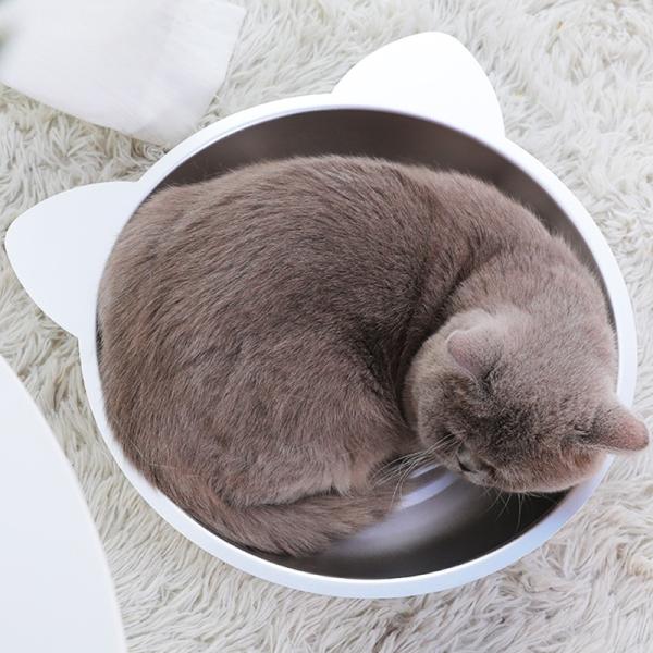 ひんやりクール猫鍋 猫用 クールキャット 猫たらい ひんやりクール猫鍋 アルミ鍋 暑さ対策 ひんやり 冷え冷え 38 38 7 8cm Rainbowbookclub Org