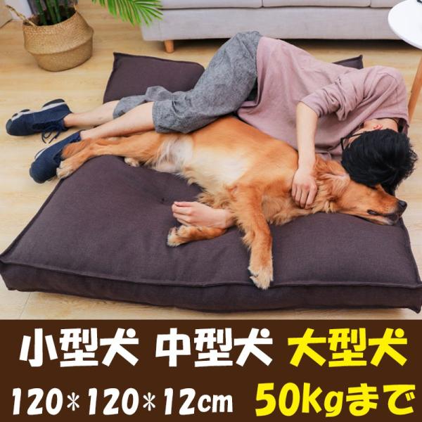 ペット マット ベッド 小型犬 中型犬 大型犬 シンプル 安眠 汚れにくい 介護 厚い 通気 柴犬 安眠 ぐっすり 噛み耐え 丈夫 シンプル Xl 1 1 12cm Dejapan Bid And Buy Japan With 0 Commission