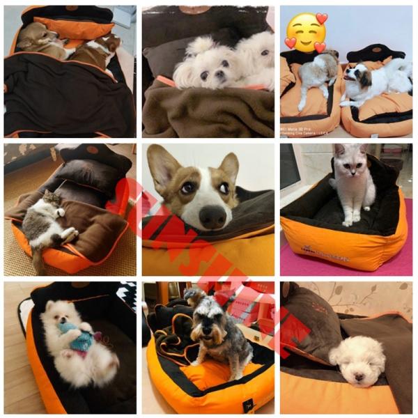 3 23再入荷 大好評 ペットベッド 犬猫用 ベッド 柴犬 ベッド 暖かい 寝袋 寒さ対策 小型犬 中型犬 大型犬 ペットハウス 冬用 あったか 猫 ベッド 毛布 M Hyp507m Sunshine Akida 通販 Yahoo ショッピング