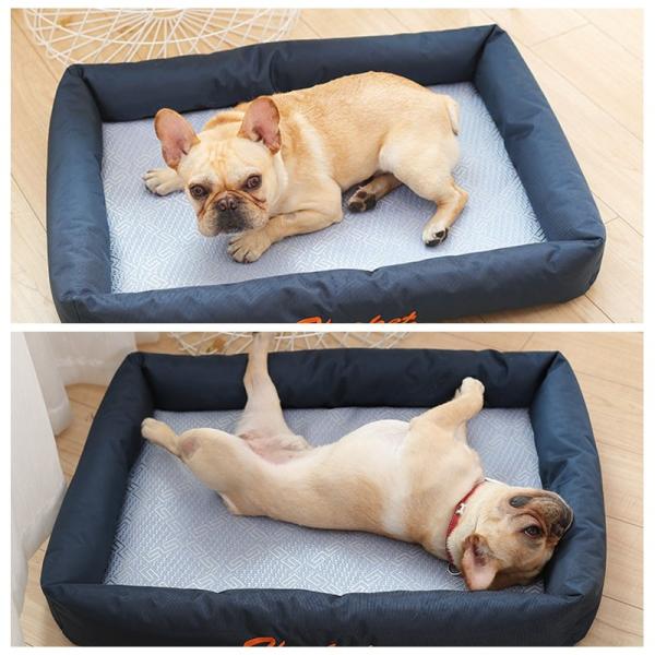 6 18再再入荷 ペット マット ベッド 小型犬 中型犬 大型犬 シンプル 安眠 夏用 汚夏用 接触冷感くい ひんやり 涼しい 通気 柴犬 小型用 外径51 36cm Buyee Buyee Japanese Proxy Service Buy From Japan Bot Online