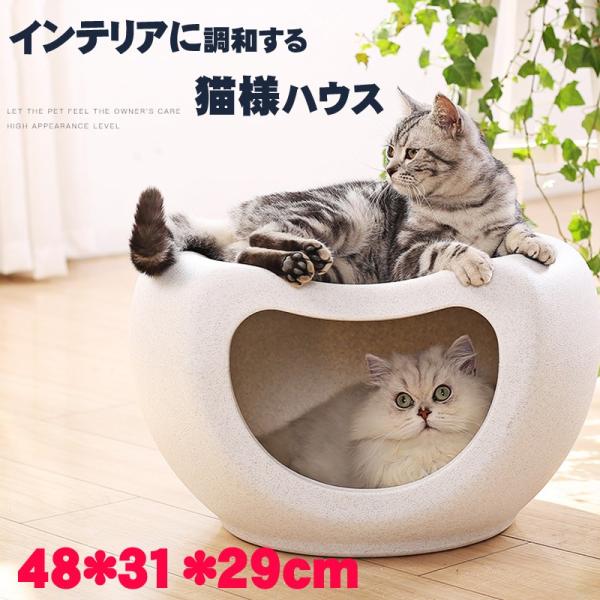 12 13再入荷 大好評 猫ハウス 猫用 ベッドベッド キャットハウス 小型犬 子猫 椅子 インテリア Pp樹脂 家具 汚れに強い 48 31 29cm Buyee Buyee 日本の通販商品 オークションの代理入札 代理購入