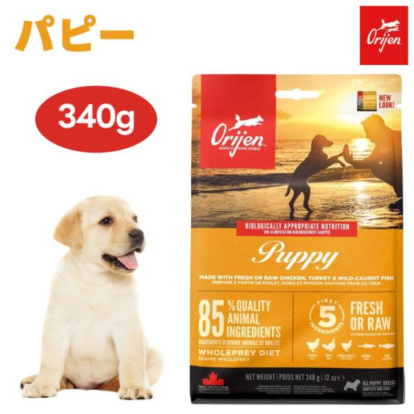 他サイト： ORIJIN オリジン パピー 340g ドッグフード 犬 仔犬 子犬 餌 無添加 グレインフリー 保存剤不使用 肉食 カナダ産の商品画像