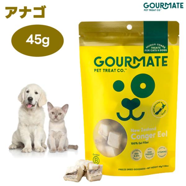 フリーズドライトリーツ アナゴ