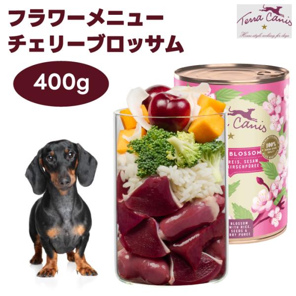 テラカニス フラワーメニュー チェリーブロッサム 400g ドッグフード
