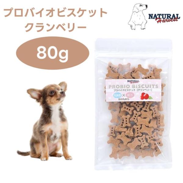 ナチュラルハーベストプロバイオビスケット クランベリー 80g ドッグフード 犬 餌 おやつ トリーツ 腸内細菌 Natural Harvest