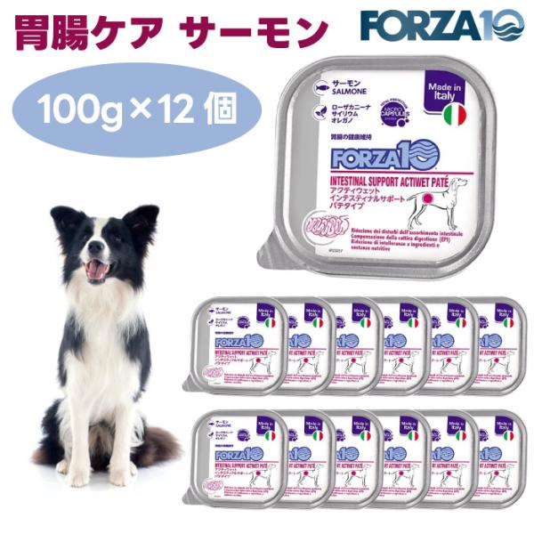Forza10 アクティウェット インテスティナルサポート 胃腸ケア  サーモン パテタイプ 100gx12個 ドッグフード 犬 餌 療養食 フォルツァ10