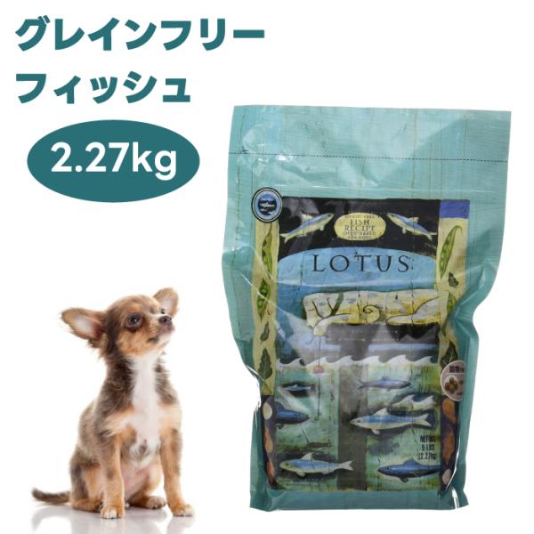 他サイト： ロータス グレインフリー フィッシュレシピ 小粒 2.27kg ドッグフード 犬 餌 オーブンベイク ヒューマングレード LOTUSの商品画像