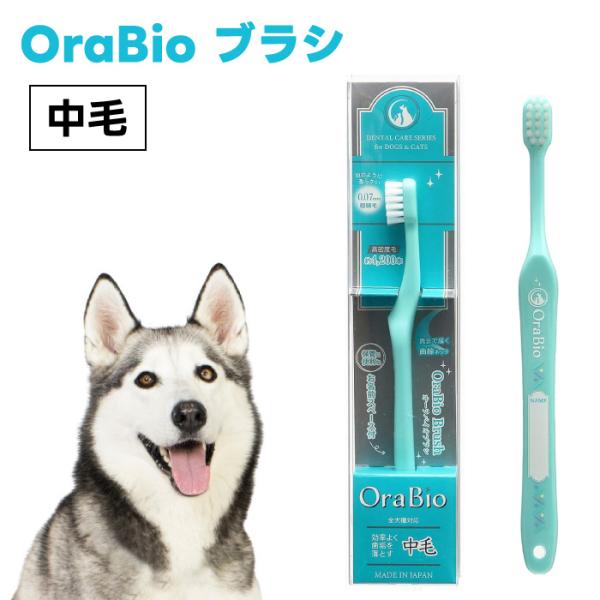 他サイト： OraBio オーラバイオブラシ 中毛 犬 猫 歯ブラシ 犬の歯科衛生士開発 デンタルケアの商品画像