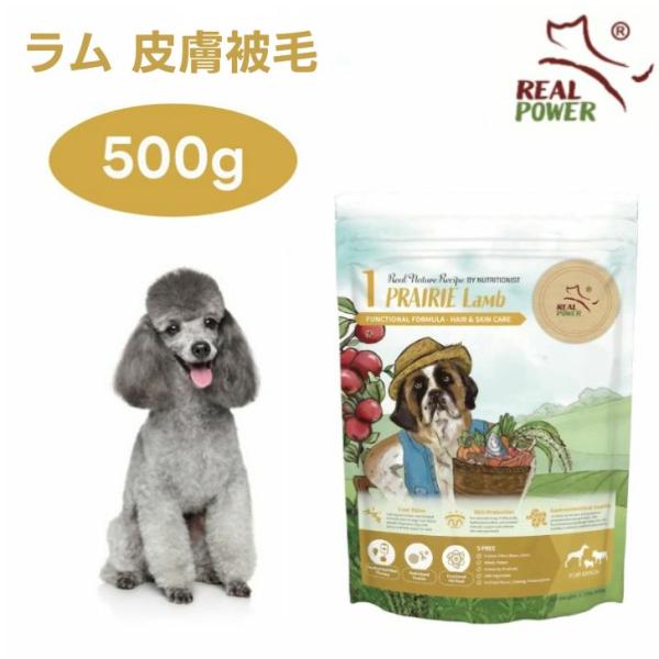 リアルネイチャー NO.1プレイリーラム 皮膚 被毛ケア ドッグフード 餌 Real Nature