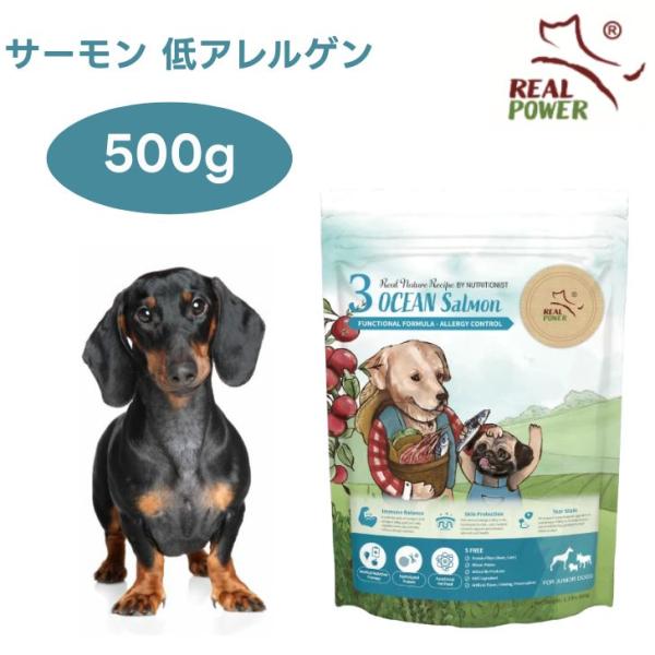 リアルネイチャー NO.3 オーシャンサーモン 低アレルゲン ドッグフード 餌 Real Nature