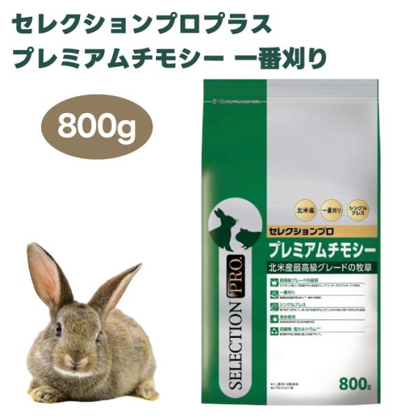 イースター セレクションプロプラス プレミアムチモシー 一番刈り 800g
