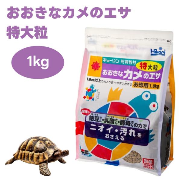 akinai-od_4971618819666