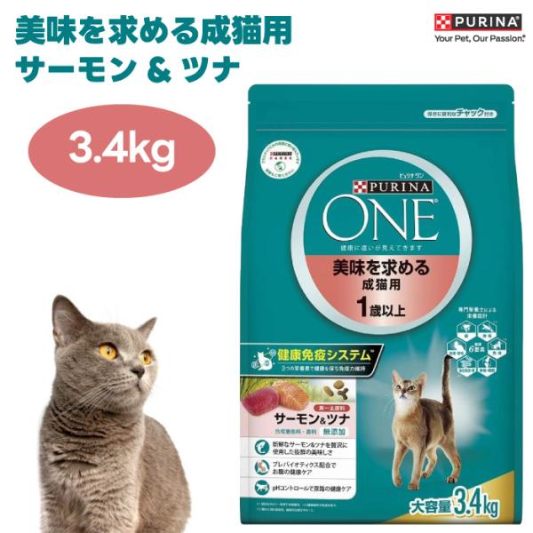 ピュリナ ワン キャット ドライ 美味を求める成猫用 1歳以上 ピュリナ ワン キャット ドライ 美味を求める成猫用 1歳以上