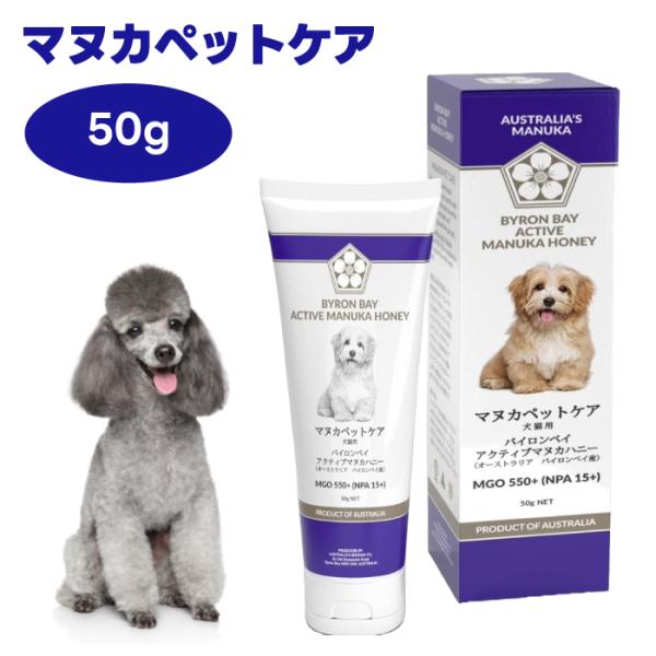 マヌカペットケア アクティヴマヌカハニー 50g MGO550+ 犬 サプリ 歯磨き 歯磨きジェル 歯磨き粉 無添加 口臭ケ