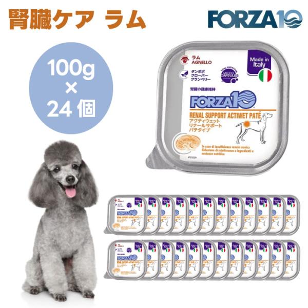 Forza10 アクティウェット リナールサポート 腎臓ケア  ラム パテ 100gx24個  犬 ドッグフード 餌 療養食 腎臓 腎疾患 フォルツァ10