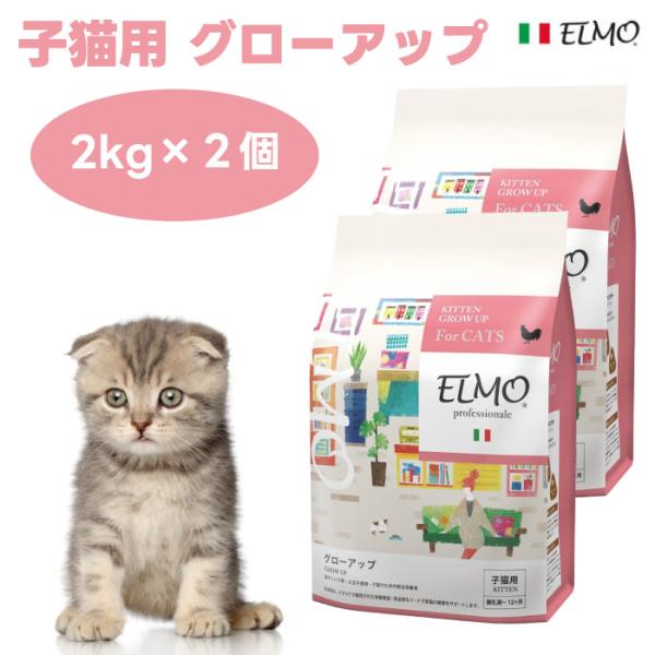 猫エルモ アダルト キトングローアップ2kg 2個セット 楽天市場】【2個