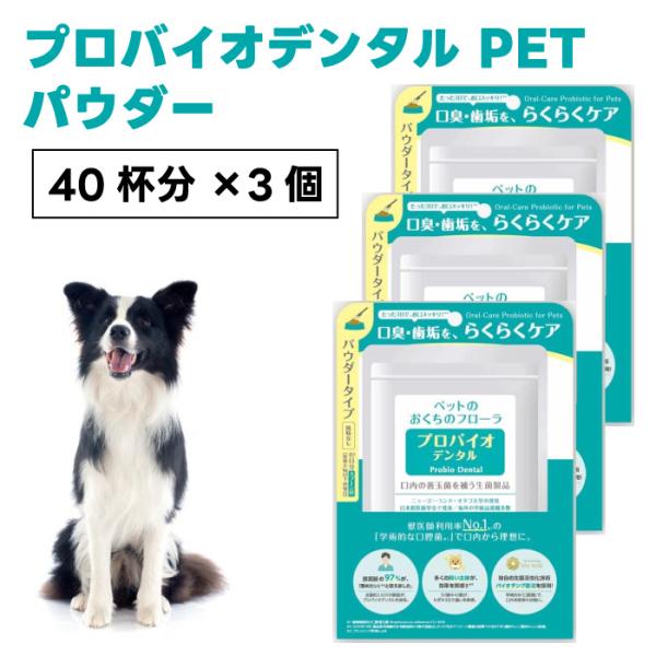 プレミアモード プロバイオデンタル ペット パウダー 40杯分x3個 風味なし 犬 猫 粉末タイプ  口腔ケア