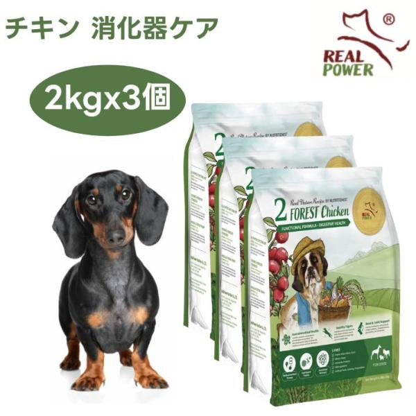 リアルネイチャー NO.2 フォレストチキン 消化器ケア 体重管理 2kgx3個