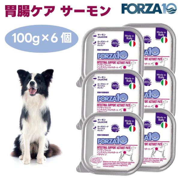 Forza10 アクティウェット インテスティナルサポート 胃腸ケア  サーモン パテタイプ 100gx6個 ドッグフード 犬 餌 療養食 フォルツァ10