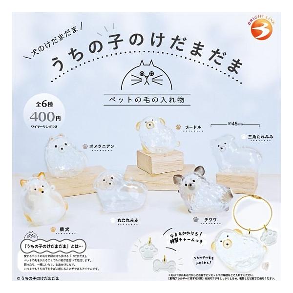全6種フルセット (フルコンプ) [うちの子のけだまだま 犬のけだまだま] ブライトリンク (カプセルトイ)