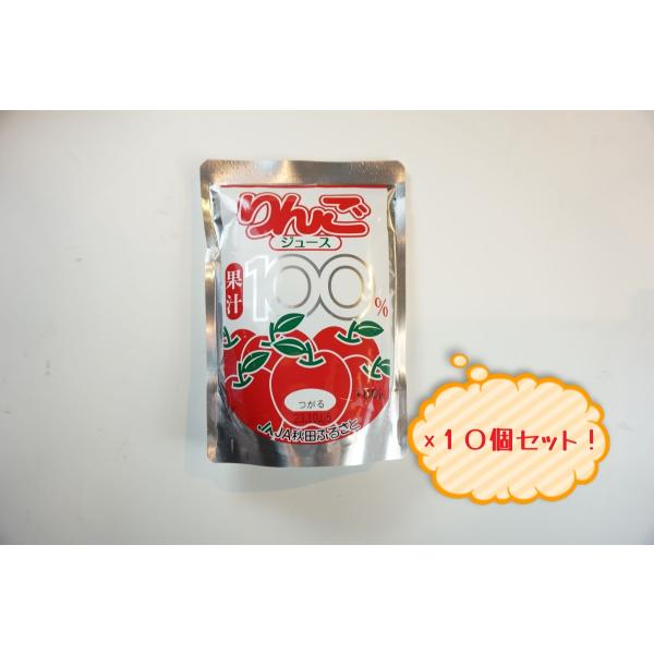 秋田ふるさと農業協同組合　りんごジュース　10個セット