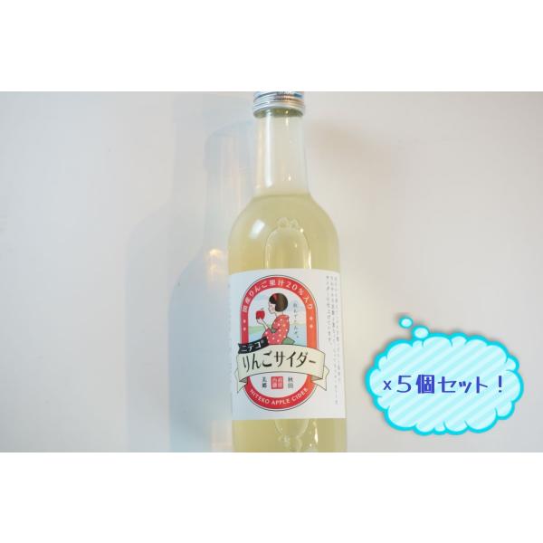 ギフト　あきた三郷づくり　仁手古りんごサイダー/300ml　5個セット