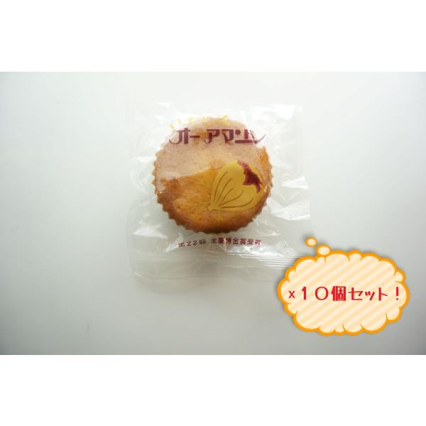 吉野屋菓子舗　いちじくオーアマンド　10個セット