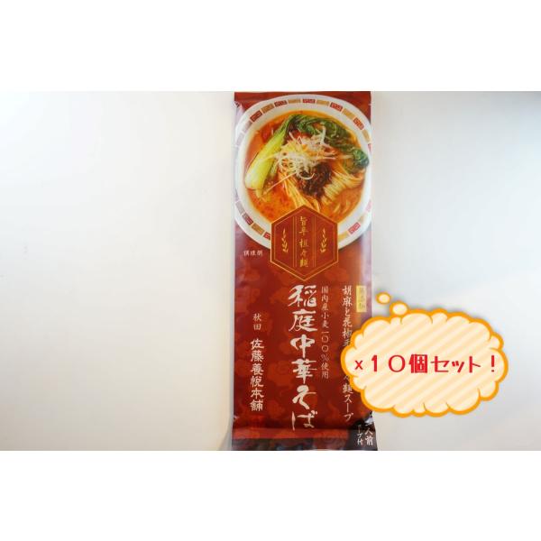 秋田　ラーメン　佐藤養悦本舗　稲庭中華そば　担々麺スープ付　10個セット