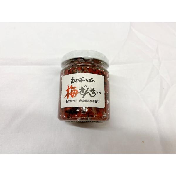 秋田県内で採れた梅を漬け込み、食べやすいように細かく刻んだ、秋田の名産です！！【名称】梅漬け（刻み）【原材料名】梅（国産）、しそ、漬け原材料（食塩）【内容量】120ｇ【保存方法】直射日光を避け、常温で保存して下さい。開栓後は冷蔵庫で保存し、...