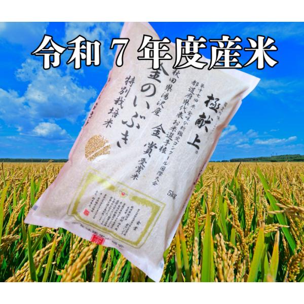 送料無料 令和７年度米 渡部浩見 漢方農法 特別栽培米 高機能玄米 金のいぶき ５ｋｇ