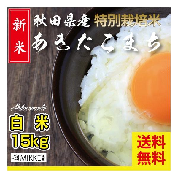あきたこまち 令和5年産 新米 米農家の店長が選ぶ 秋田 県南 あきたこまち 令和5年産 新米 米農家の店長が選ぶ 秋田 県南