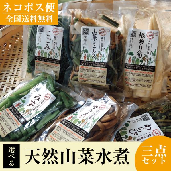 秋田 天然山菜 水煮 選べる３パック 送料無料 簡単調理 鈴木青果問屋 謹製