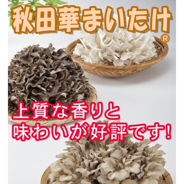 秋田華まいたけ 秋田県産 生まいたけ 1カブ : 秋田十條化成株式