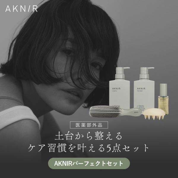 【シリーズ累計80万個突破】AKNIR 梨花開発 パーフェクトセット シャンプー トリートメント ヘアスカルプセラム シャンプーブラシ スカルプブラシ ギフト