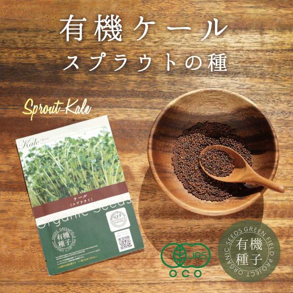 おうちで簡単に栽培できる有機種子。手軽にフレッシュな野菜が楽しめます。スプラウトとは？穀類・豆類・野菜の新芽のことをいいます。成長に必要な栄養素が詰まっています。