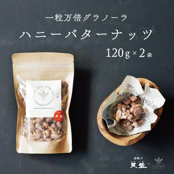 ミックスナッツ 120g 3種類 2袋 ハニーバター くるみ アーモンド カシューナッツ 赤穂の天塩 おつまみ お菓子 ナッツ 有塩 チャック付き袋