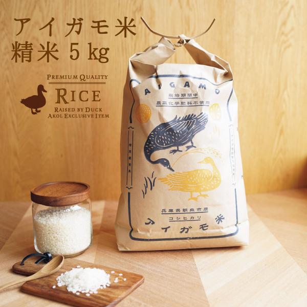 V 5kg RVqJACK 5kg  邿  _≻w엿؎gȂ_@ ɌY  Mtg _@ ACK_@