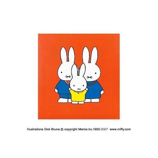 特別セール品 ディック ブルーナ ミッフィー フエルアルバム 写真 アsa1211レッド 5