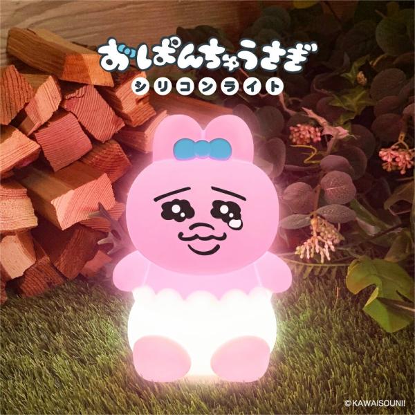 ※ギフトラッピング対応可能商品です。ラッピングをご希望の場合は　ラッピング（330円）と同時購入にて承ります。