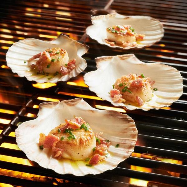 傫Lk OVF Zbg King Scallop Grilling Shells, Set of 4 LOVF 4 LM