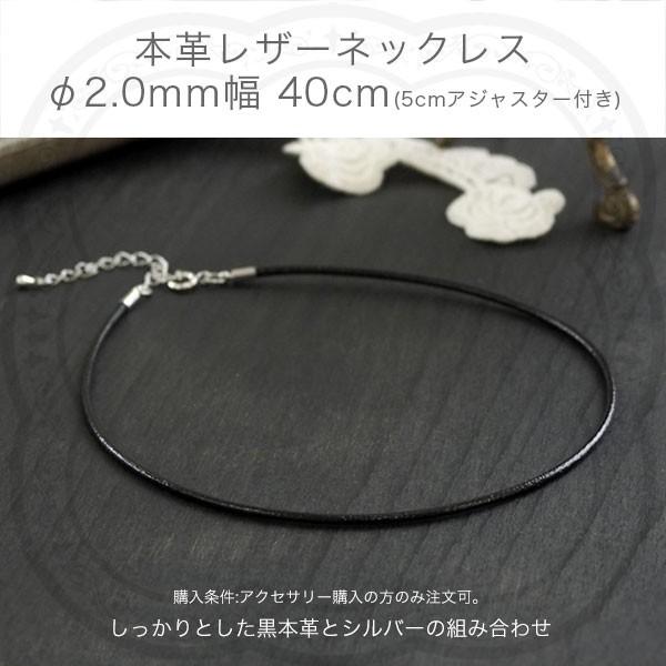 2.0mm@{vƃVo[̃lbNX@AWX^[t@䂤pPbg300~@gWOP