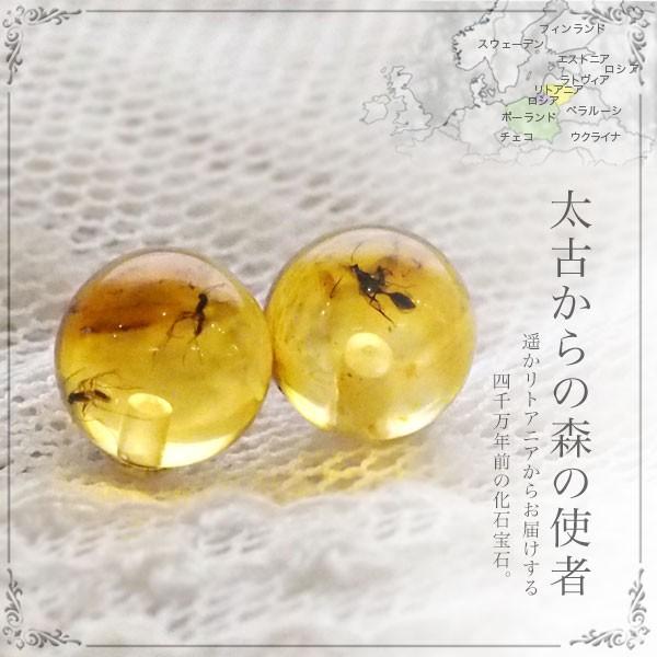シルバー925 ピアス　琥珀　虫入り　8.22 g シルバー925 ピアス 琥珀 虫入り 8.22 g 虫入り琥珀ピアス 送料