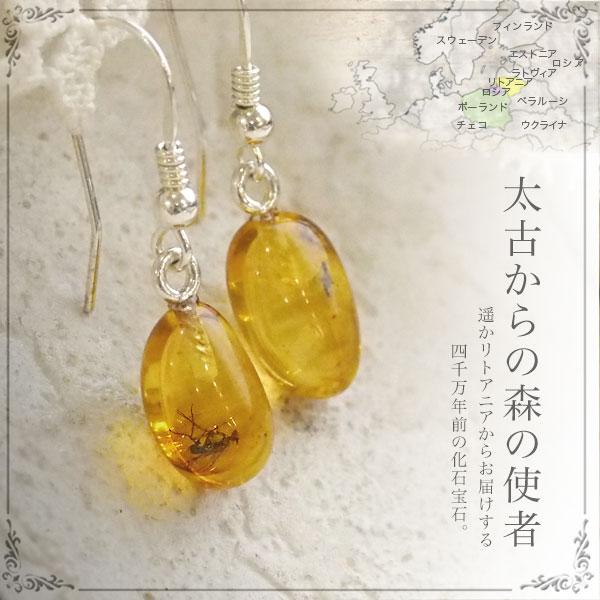 虫入り 琥珀ピアス イヤリング チタン 金属アレルギー 送料無料