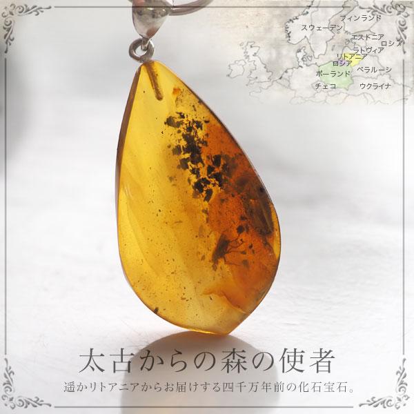 天然琥珀 1点もの虫入りこはくキーリング キーホルダー レザー 送料