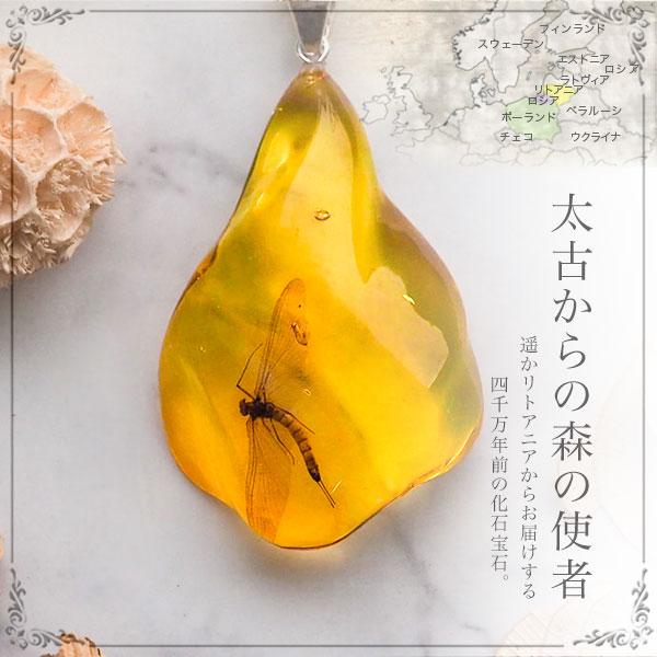虫入り琥珀ネックレス 送料無料 シルバー Silver925 コレクション