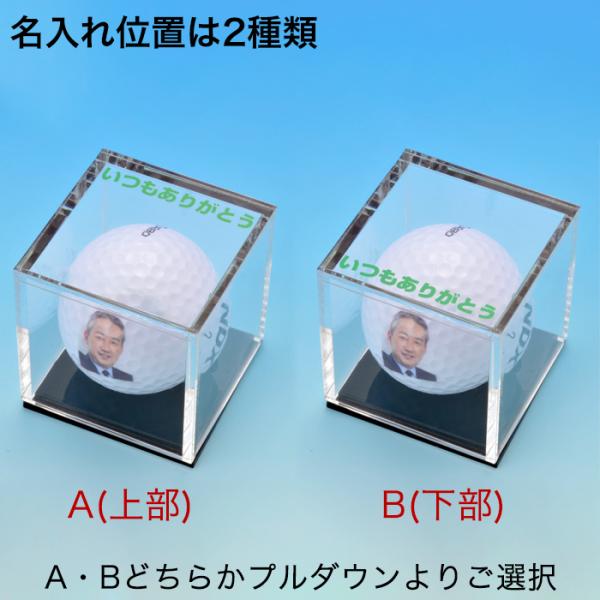 ゴルフボール専用 アクリルケースプレゼントにコレクションケース 父の日 還暦祝い 出産祝い 誕生日 内祝い ギフト国産 Buyee Buyee 提供一站式最全面最專業現地yahoo Japan拍賣代bid代拍代購服務 Bot Online